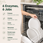 Six-enzyme dishwasher detergent blend infographic